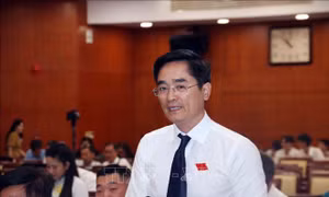 Thành phố Hồ Chí Minh thông qua loạt dự án giao thông, chỉnh trang đô thị quy mô lớn