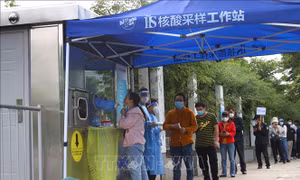Thành phố Thượng Hải lại tiến hành xét nghiệm đại trà COVID-19
