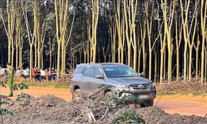 Điều tra vụ đập phá xe Fortuner, dùng cuốc đánh chủ xe tử vong ở rẫy cao su