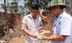 Chủ động phòng ngừa dịch bệnh phát sinh sau lũ
