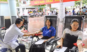 Hành trình Đỏ 2026: Lan tỏa nghĩa cử cao đẹp hiến máu cứu người