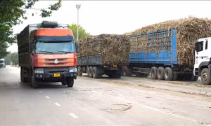 Tuyên truyền, xử lý xe chở quá tải mùa thu hoạch mía