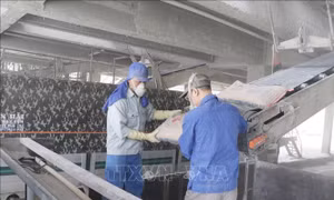 Giá xi măng tăng lần thứ ba trong quý I