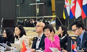 Việt Nam chủ trì cuộc họp Tham vấn lần thứ 15 của Nhóm Đặc trách IAI với các đối tác của ASEAN