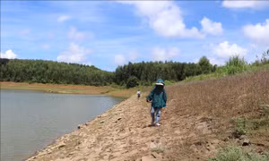 Năm tỉnh, thành Trung Bộ và Tây Nguyên đảm bảo an toàn đê điều, ứng phó bão, mưa lũ