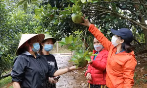 Gỡ khó trong thực hiện dự án về bình đẳng giới ở Lai Châu
