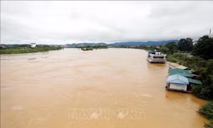 Vận hành hồ thủy điện Tuyên Quang đảm bảo an toàn công trình, hạ du