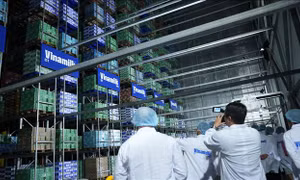 Kỳ vọng vào định hướng phát triển TP Hồ Chí Minh trong kỷ nguyên mới
