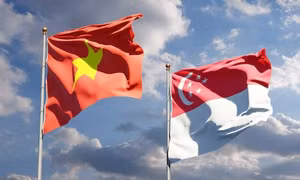 Vai trò của kiều bào trong quan hệ Đối tác Chiến lược toàn diện Việt Nam - Singapore