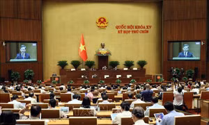 Đề xuất tăng số lượng Thẩm phán Tòa án nhân dân tối cao