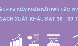 Ngành da giày phấn đấu đạt kim ngạch xuất khẩu đạt 38 - 39 tỷ USD vào 2030