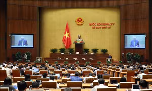 Xử lý nghiêm người cầm đầu có động cơ vụ lợi để răn đe, giáo dục chung