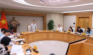 Không để sót hành vi và đối tượng vi phạm về đất đai