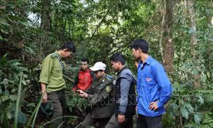 Chuyển đổi quản lý, bảo vệ rừng - Bài 2: Cộng đồng và công nghệ số tạo lá chắn