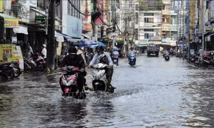 Cà Mau chủ động ứng phó triều cường vượt báo động III