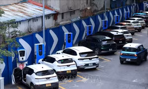 Những chính sách nổi bật liên quan đến kinh tế có hiệu lực từ tháng 3/2025