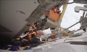 Động thái thúc đẩy đàm phán ngừng bắn ở Dải Gaza