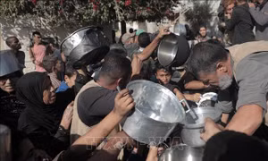 Tiếp tục báo động thảm họa nhân đạo tại Gaza