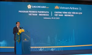 Hợp tác du lịch Việt Nam - Indonesia: Tương đồng mở ra tiềm năng lớn 