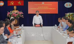 TP Hồ Chí Minh hỗ trợ Nghệ An và Đồng Tháp khắc phục thiệt hại do bão số 3