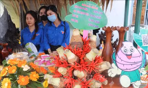 Tổ chức Ngày hội Khoai môn năm 2023