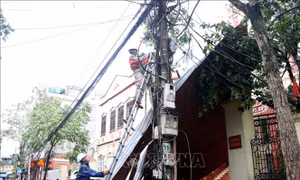Hải Dương: Khoảng 70% khách hàng đã được cấp điện trở lại sau bão số 3