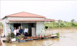 TP Hải Dương di dời hàng trăm hộ dân sống trên thuyền bè, khu tập thể cũ