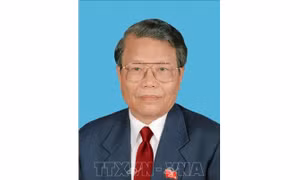 Tóm tắt tiểu sử nguyên Chủ tịch nước Trần Đức Lương