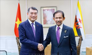 Tăng cường quan hệ hữu nghị và hợp tác Việt Nam với các nước ASEAN và Ngân hàng ADB