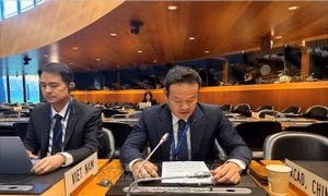Việt Nam tham gia phiên rà soát chính sách thương mại của Anh tại WTO