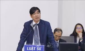 Quyền hành nghề của luật sư không đồng nghĩa với miễn trừ trách nhiệm pháp lý