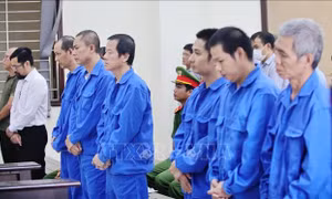 Bản án đích đáng cho đường dây cấp khống hơn 3.600 chứng chỉ nghề