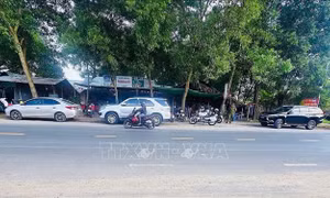 Tây Ninh: Điều tra nghi án giết người rồi tự sát