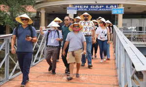 Những lý do khiến du khách Ấn Độ chuyển hướng sang Việt Nam