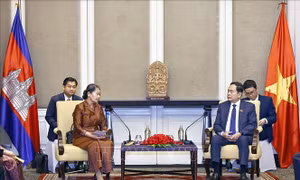 Chủ tịch Quốc hội Trần Thanh Mẫn tiếp Chủ tịch Nhóm Nghị sĩ Hữu nghị Campuchia - Việt Nam Men Sam An