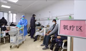 Chuyên gia Trung Quốc khuyến nghị cách ứng phó hiệu quả với dịch cúm A