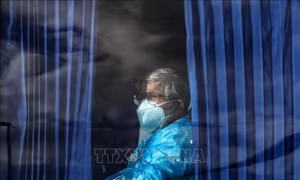 Hà Lan cách ly 12 nhân viên y tế do không tuân thủ quy trình chăm sóc bệnh nhân nhiễm virus Hanta