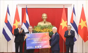 Dấu ấn nhân đạo đặc biệt trong Năm Hữu nghị Việt Nam - Cuba
