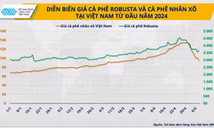 'Bong bóng' vỡ, giá cà phê sẽ ra sao?