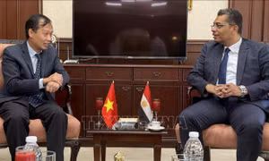 Tăng cường kết nối kinh tế giữa các địa phương Việt Nam và tỉnh Biển Đỏ (Ai Cập)