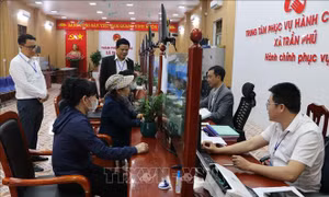 Khí thế sản xuất làm việc đầu năm từ đồng ruộng đến công sở