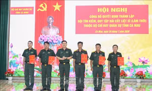 Cà Mau: Thành lập đội tìm kiếm, quy tập hài cốt liệt sĩ