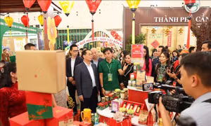 Điểm tin kinh tế Việt Nam nổi bật ngày 6/2/2026