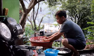 Người dân ven hồ Hòa Bình 'khát nước sạch'