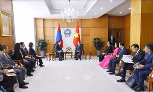 Thúc đẩy quan hệ Đối tác toàn diện Việt Nam - Mông Cổ