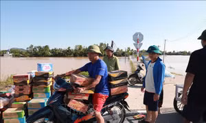 Hướng dẫn các địa phương về mức hỗ trợ khắc phục thiệt hại do bão số 10 gây ra