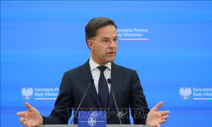 Tổng thư ký NATO cảnh báo tiến trình hòa bình của Ukraine 'không dễ dàng'