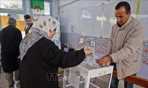 Algeria khởi động chiến dịch tranh cử