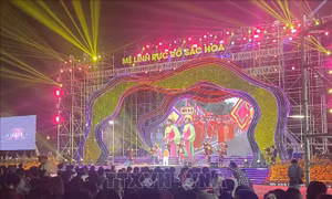 Rực rỡ Festival hoa Mê Linh 2024