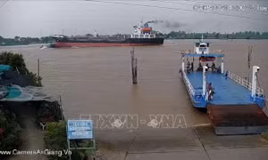 Kiểm tra toàn bộ các bến khách ngang sông ở An Giang